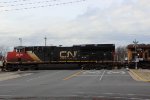 CN 3114